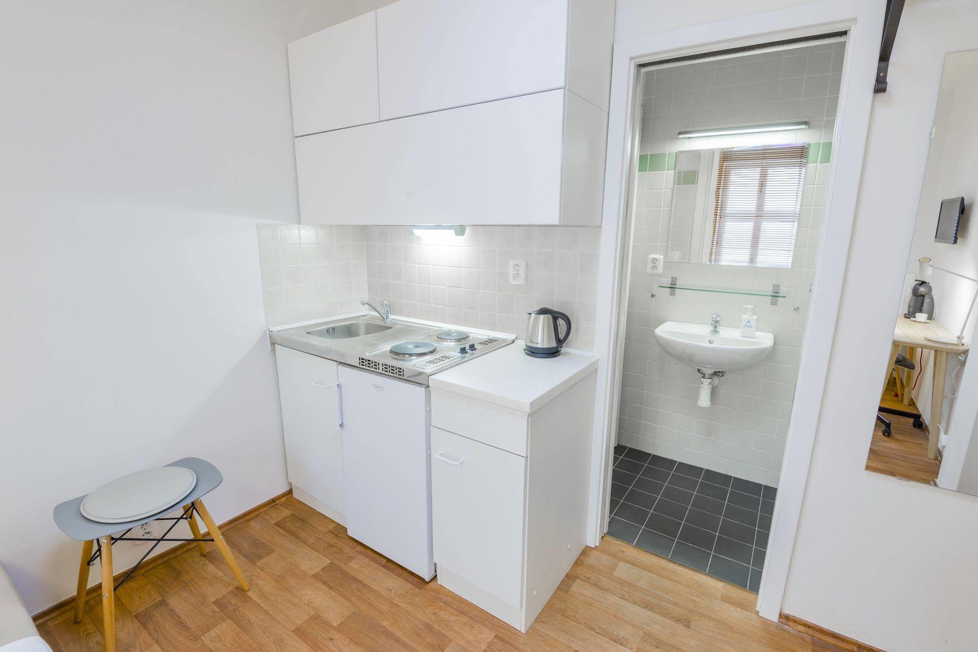Vladislav Centre Apartment Prag
