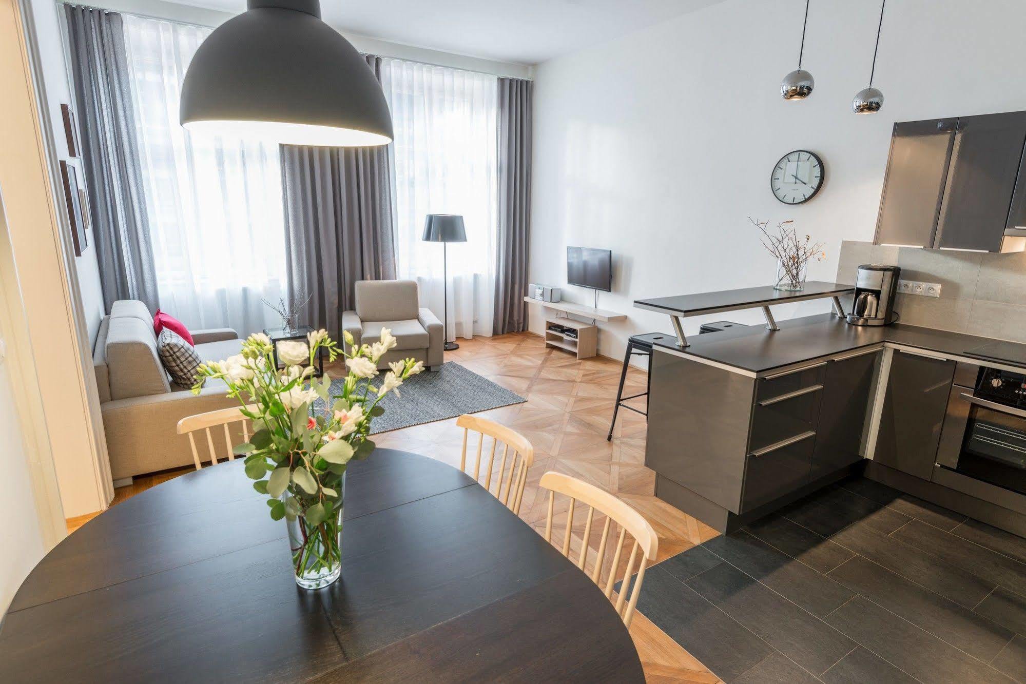 Apartment Vladislav Centre